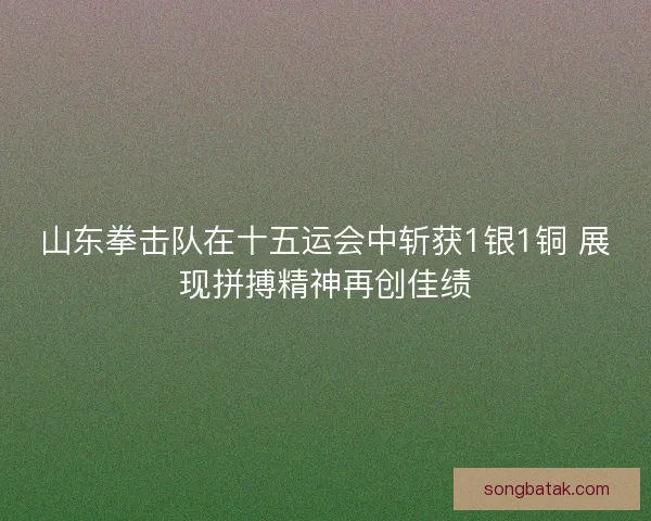 山东拳击队在十五运会中斩获1银1铜 展现拼搏精神再创佳绩 山东拳击队在十五运会中斩获1银1铜 展现拼搏精神再创佳绩