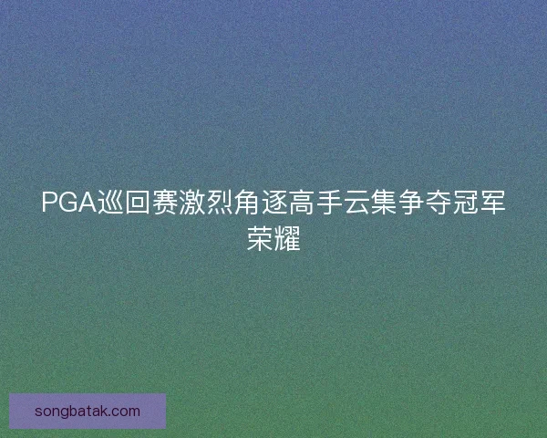 PGA巡回赛激烈角逐高手云集争夺冠军荣耀 PGA巡回赛激烈角逐高手云集争夺冠军荣耀