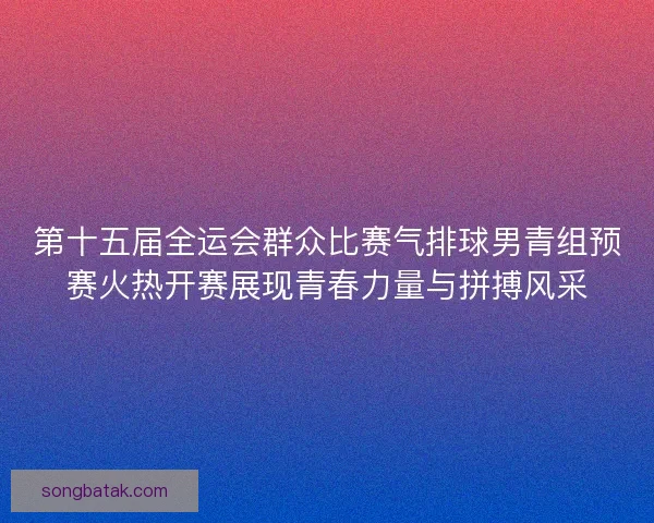 第十五届全运会群众比赛气排球男青组预赛火热开赛展现青春力量与拼搏风采 第十五届全运会群众比赛气排球男青组预赛火热开赛展现青春力量与拼搏风采